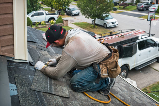 Professional Emergency Roof Repair technician working in Blachly, OR